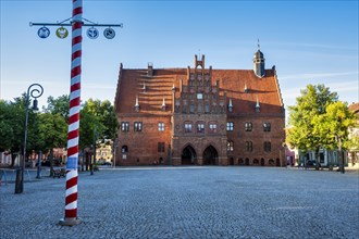 Maypole in front of Jüterbog town hall, Brandenburg, Germany, Europe