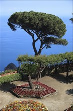 Garden area at Villa Rufolo, Ravello, Campania, Italy, Europe