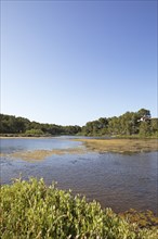 S'Albufera des Grau nature Park, Menorca