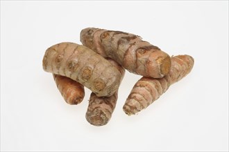 Turmeric (Curcuma longa) or curcume, yellow ginger, saffron root, turmeric, plant species of the