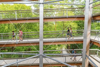 Visitors on the Usedom treetop walk, Baltic resort Heringsdorf, Usedom Island, Mecklenburg-Western