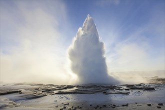 Eruption of Strokkur, fountain geyser in the geothermal area beside the Hvítá River in winter,