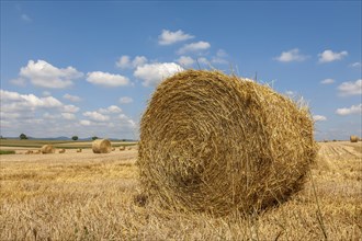 Stubble field with straw rolls, Palatinate, Rhineland-Palatinate, Germany, Europe