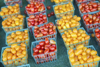 Freshly picked selection of organic tomatoes on display at the farmers market