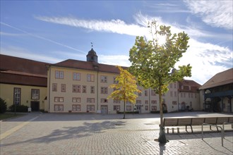 Inner courtyard of the castle with two trees and benches in the backlight during autumn,