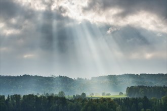 Tyndall effect over rural woodland, sunbeams break through cloudy sky and illuminate a forest