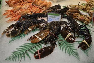 European lobsters at a fish stall in the market hall, Mercat de la Boquería, also Mercat de Sant