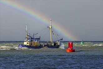 Shrimp cutter 0. 191 Romy leaving the Ostend port to go bottom trawling for shrimps along the North