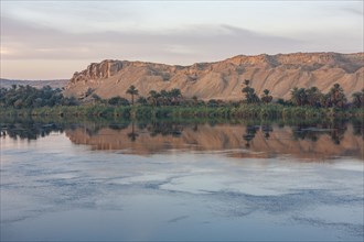 Landscape on the Nile, Nile bank, morning light, Egypt, Africa