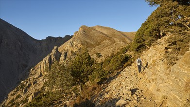 Hikers on hiking trail, Gingilos, hiking on the Gingilos, morning light, cloudless blue sky,