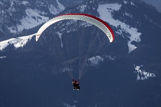 Paragliders on the Nebelhorn, Allgäu Alps, Oberstdorf, Oberallgäu, Bavaria, Germany, Europe