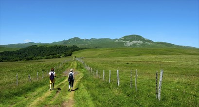 Hikers in Sancy massif, Auvergne Volcanoes Natural Park, Puy de Dome department, Auvergne Rhone