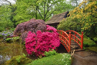 Small bridge in Japanese garden, Park Clingendael, The Hague, Netherlands