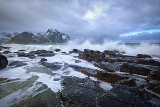 Waves crushing on rocks on rocky coast of fjord of Norwegian sea in winter. Lofoten islands,