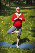 Pregnancy yoga exercise, pregnant woman doing asana vrikshasana tree pose outdoors on grass lawn