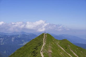 Hiking trail from Fellhorn, 2038m, to Söllereck, Allgäu Alps, Bavaria, Germany, Europe