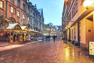 Christmas market at the fish market in Erfurt, Thuringia, Germany, Europe