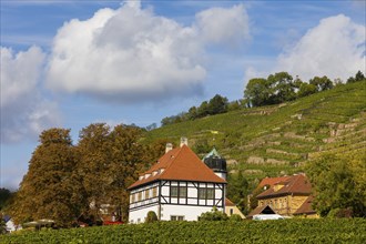 In electoral and royal Saxon times, the estate, as a country seat of the Saxon line of the Wettin