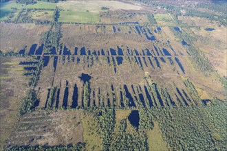 Aerial view Pietzmoor, moor, wetland, peat, former peat cutting, hiking trail, moor trail, water,