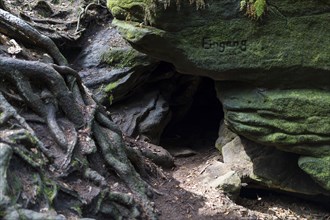 Entrance to the Herring Cave in Teufelsgrund near Wehlen, Saxon Switzerland, Saxony, Germany,