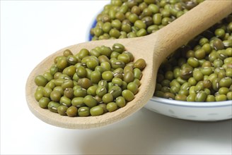 Mung beans (Vigna radiata, Vigna mungo () , Phaseolus mungo, Phaseolus radiatus) , Jerusalem beans,