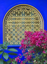 Morocco, Jardin Majorelle Botanical Garden in Marrakech, Africa