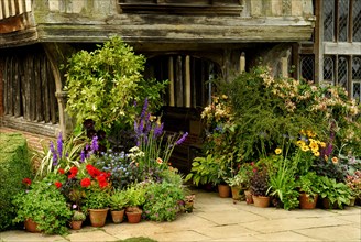 Potted plants, Great Dixter, Northiam, Kent, England, Great Britain