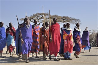 Maasai men dancing, Ngorongoro Conservation Area, Ndema, Tanzania, Africa