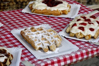 Belgian waffles on paper plate, Belgium, Europe