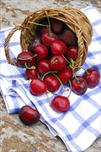 Sweetcherry (Prunus) in baskets, Sweet