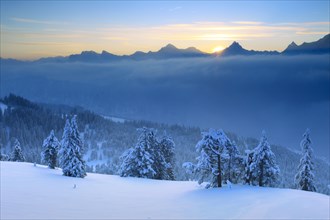 Bernese Alps, View from the Niederhorn, Bernese Oberland, Switzerland, Europe