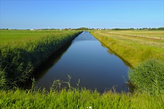 Moat, Oudeschild, July, Texel Island, North Sea, North Holland, Netherlands