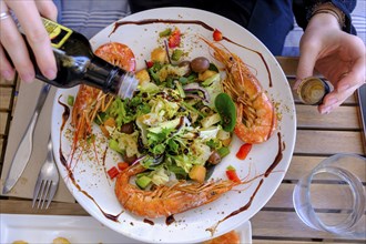 Salad with scampi, food, Cadaqués, Costa Brava, Catalonia, Spain, Europe