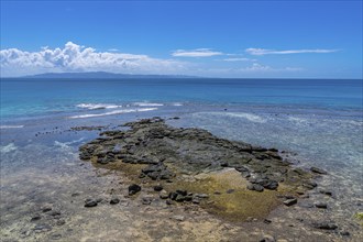 Reef in the lagoon, Taveuni, Fiji, South Pacific, Oceania