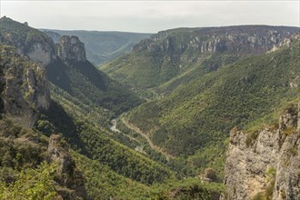 Gorges of Tarn seen from hiking trail on the corniches of Causse Mejean above the Tarn Gorges. La