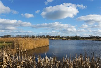 National Park De Alde Feanen, the old fen, Earnewald, Eernewoude, Friesland, Fryslân, Netherlands