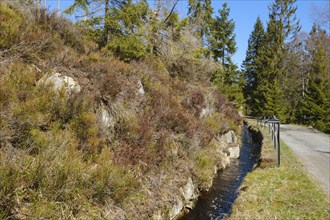 Rehberger Graben, moat, Geopark, St. Andreasberg, Harz National Park, Lower Saxony, Germany, Europe