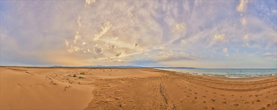 Beach "Platja del Fangar", sand dunes, Vegetation, nature reserve, ebro delta, Catalonia, Spain,