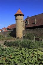 Part of the old town wall and in front of it the moat gardens, Mainbernheim, Lower Franconia,