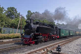 Rasender Roland steam railway, Göhren, Rügen Island, Mecklenburg-Western Pomerania, Germany, Europe