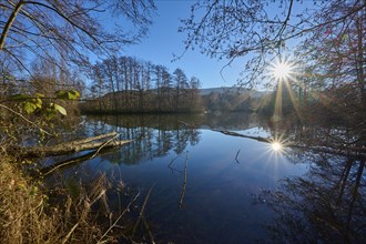 Lake at sunrise, Freudenberg am Main, Untermain, Spessart, Odenwald, Franconia, Baden-Württemberg,