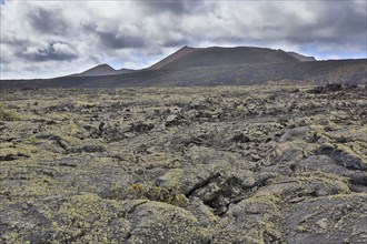 Lava field near Timanfaya National Park, Lanzarote, Canary Islands, Spain, Europe