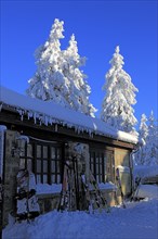 Asenhuette on the Ochsenkopf, Fichtelgebirge, Bayreuth County, Upper Franconia, Bavaria, Germany,