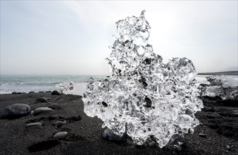 Ice, piece of ice on black sand beach, on black lava beach Diamond Beach, Southeast Iceland,