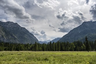 View from Ettaler Forst to the Ammergebirge, district of Garmisch-Partenkirchen, Upper Bavaria,