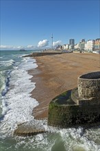 Seafront, Beach, groyne, Brighton, East Sussex, England, United Kingdom, Europe