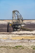 Weaners in the Welzow-Süd opencast lignite mine, Niederlausitz, Spree-Neiße, Brandenburg, Germany,