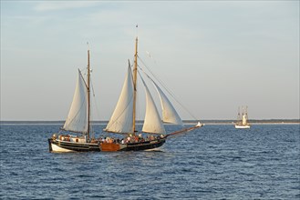 Sailing ship, Baltic Sea, Hanse Sail, Warnemünde, Rostock, Mecklenburg-Western Pomerania, Germany,