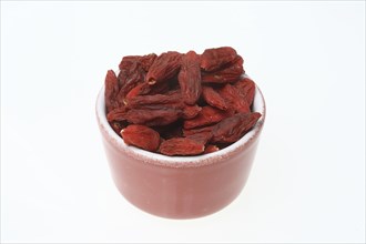 Goji, goji berries (Lycium barbarum), fenugreek, plant species of the nightshade family. Common