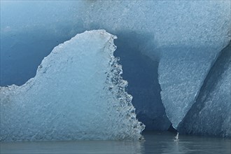 Close-up of ice formations from an iceberg, Alaska